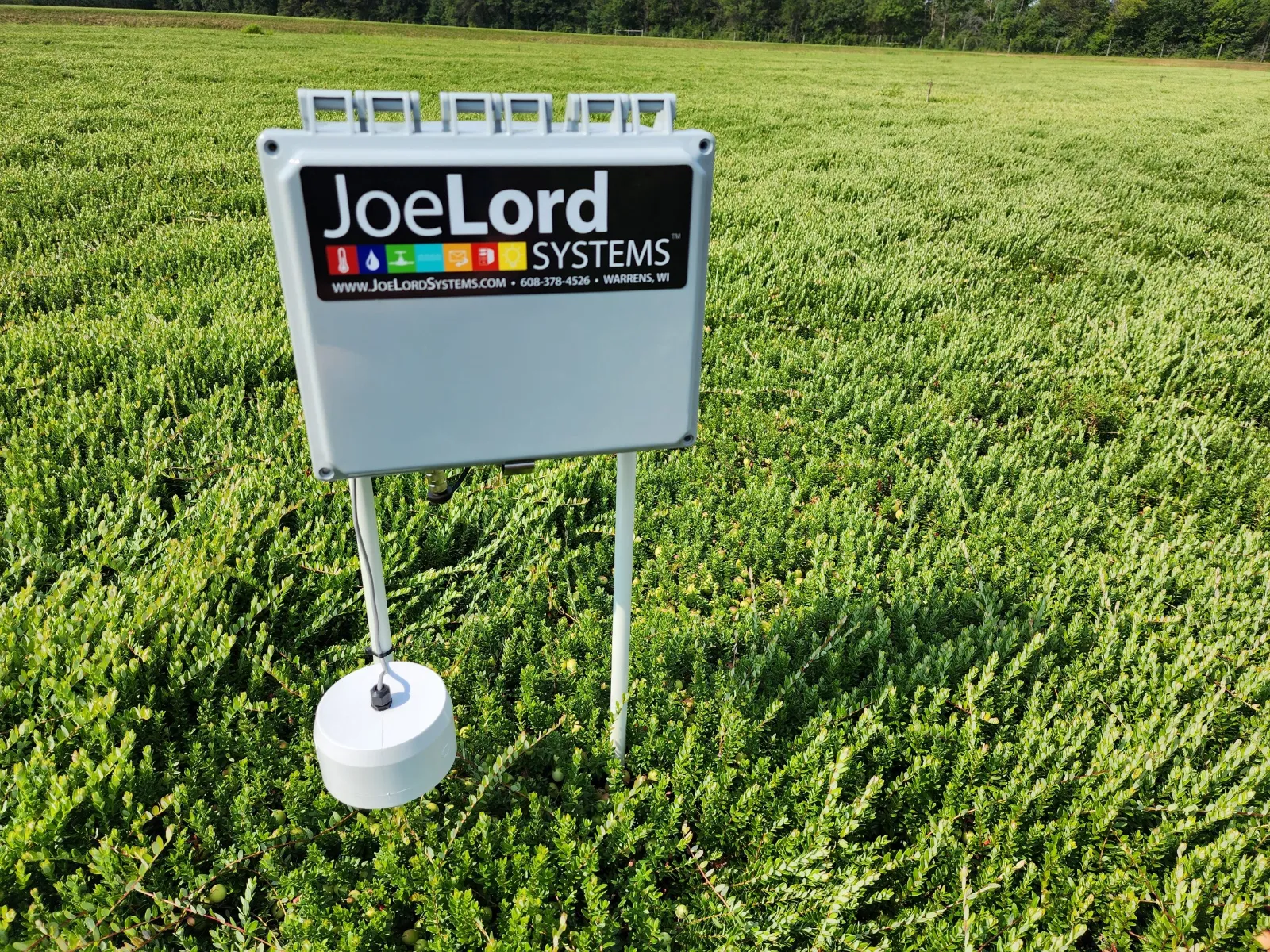 Wireless Sensor